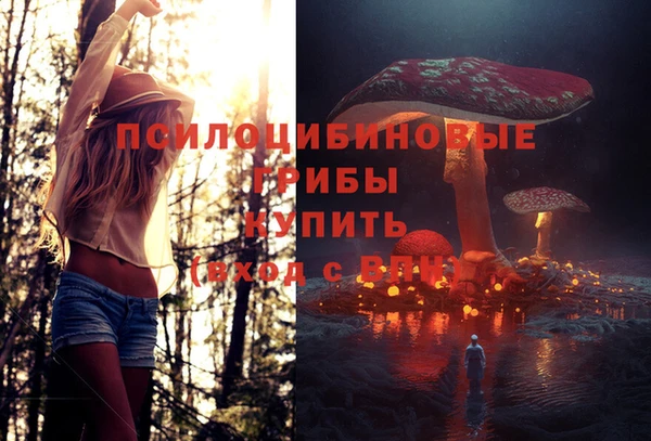 спиды Абдулино
