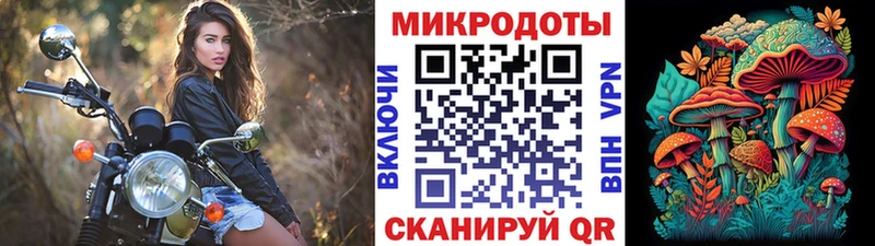 как найти наркотики  Хилок  кракен ТОР  Псилоцибиновые грибы Cubensis 